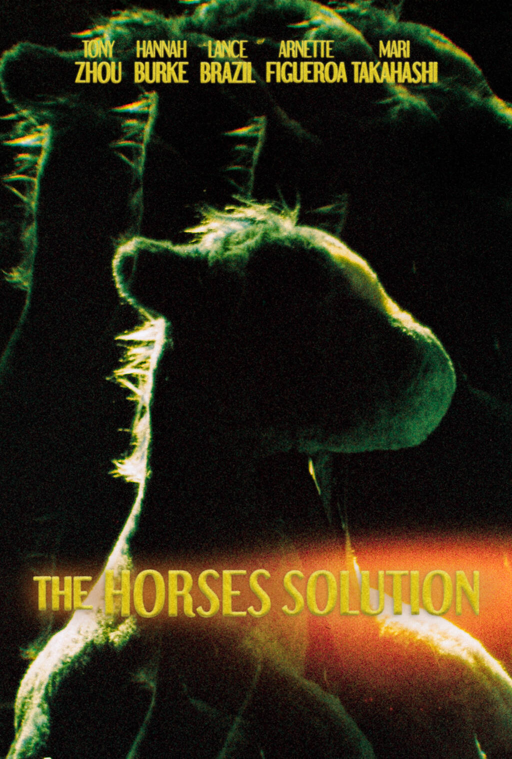 Filmposter for A Horses Solution
